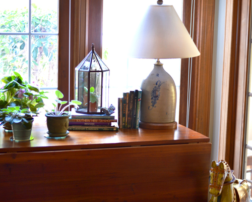 Living-Room-Garden-Plants Living-Room-Garden-Plants