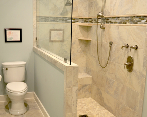 Master-Bath-Roll-In-Shower-Toilet Master-Bath-Roll-In-Shower-Toilet