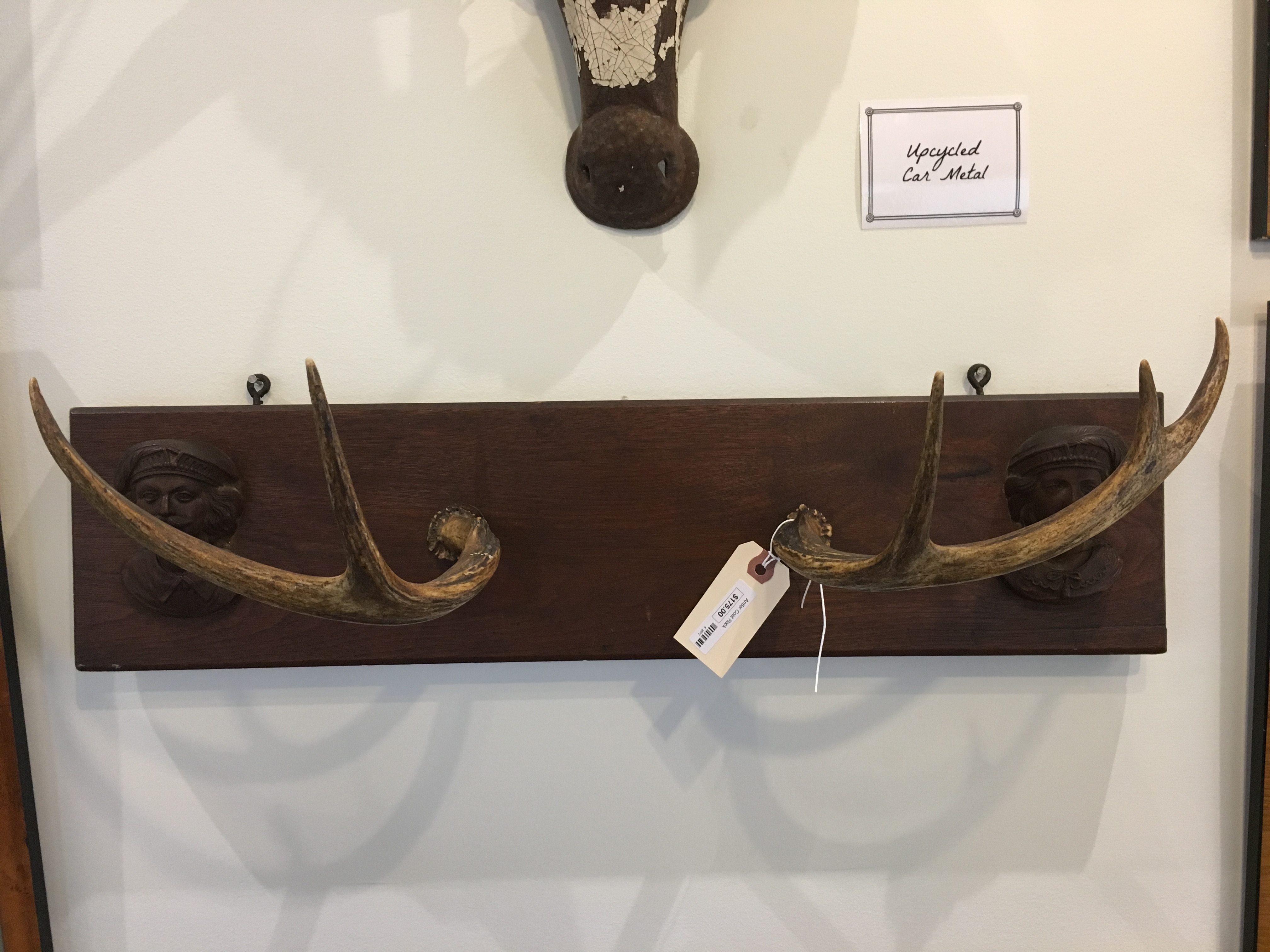 Antler Coat Rack Form & Function Asheville NC