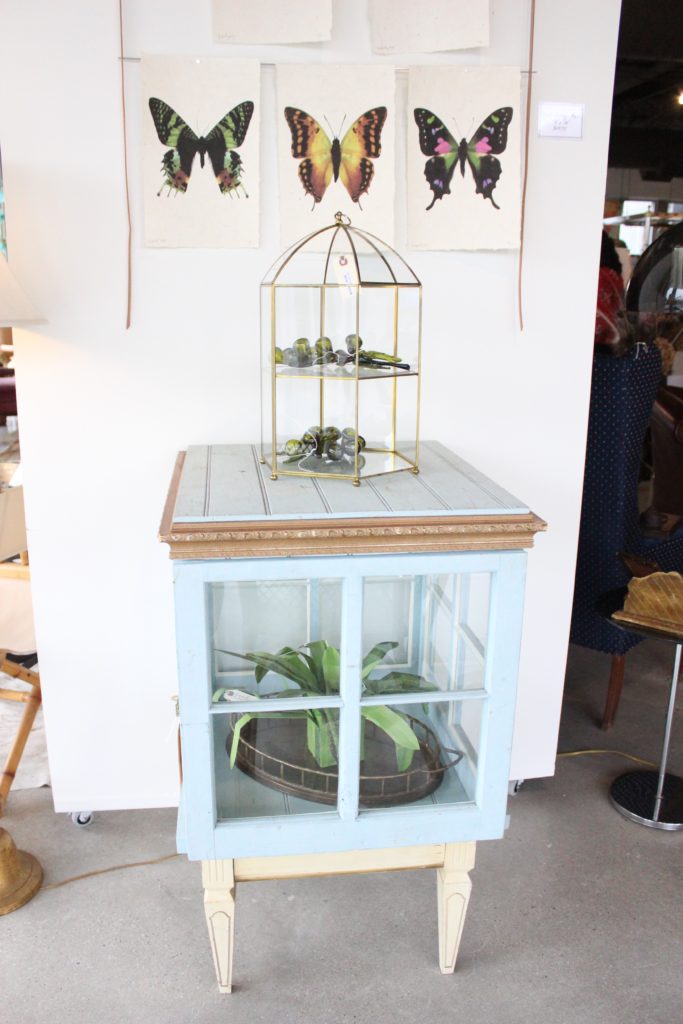 Window Display Case Form & Function Asheville NC