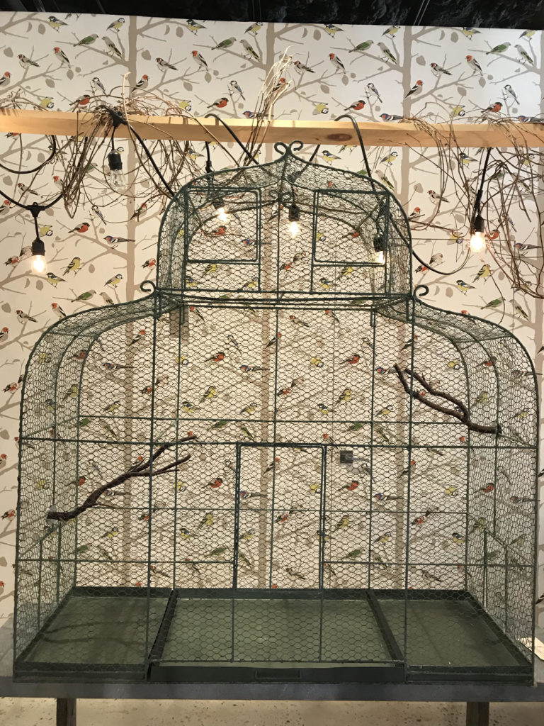 Large Bird Cage w/Accessories Form & Function Asheville NC